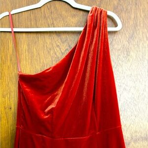 Burnt Orange Birdy Grey Velvet One-Shoulder Dress